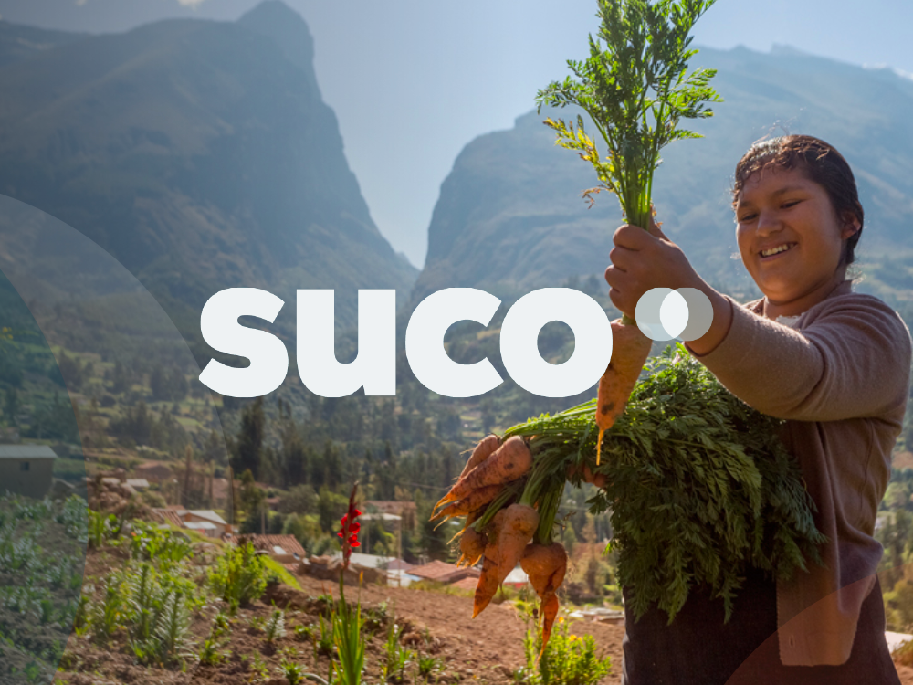 logo suco