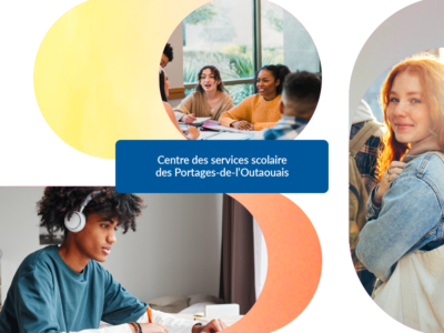 CSSPO, Vortex Solution