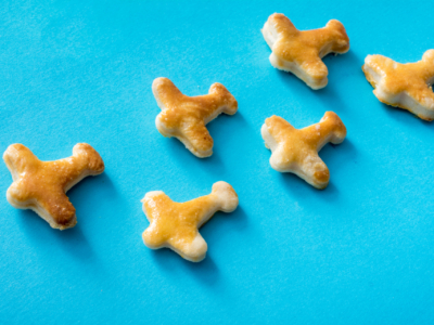 Vortex-Expertise-Données